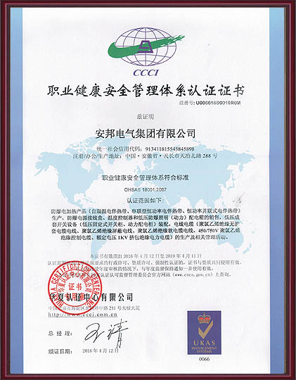 職業健康安全管理體系認證證書中文版